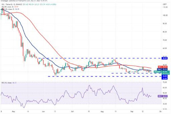 Solana币今日价格 SOL币最新消息-第3张图片-芝麻交易所下载